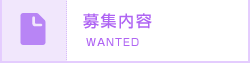 募集内容