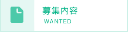 募集内容