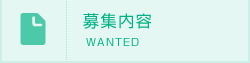 募集内容