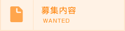 募集内容